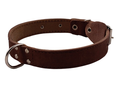 Каскад Ошейник 00012005 кожаный с кольцом посеред ширина 12 мм, обхват шеи от 20 до 24 см.